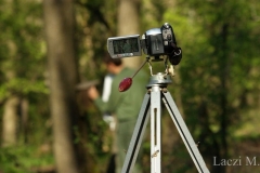 We take video records of the behaviour of birds